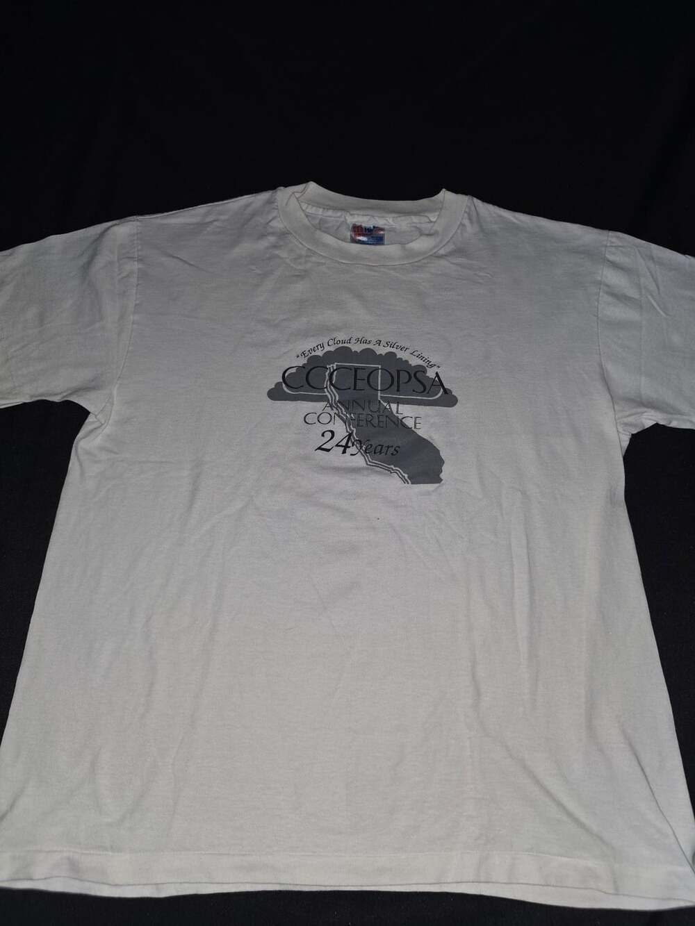 Vintage 1994 CCCEOPSA Annual Conference 24 Years Los Angeles CA T-Shirt